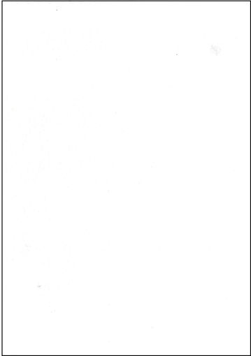 Picture of FELT WHITE